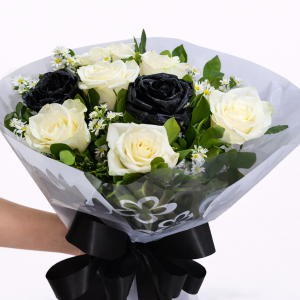 ChatGPT Image 11 de fev. de 2026, 15_11_10