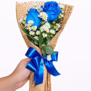 ChatGPT Image 13 de fev. de 2026, 09_17_56