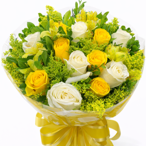 ChatGPT Image 6 de fev. de 2026, 13_01_08