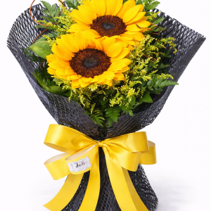 ChatGPT Image 8 de fev. de 2026, 17_33_31