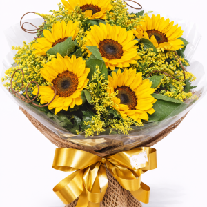 ChatGPT Image 9 de fev. de 2026, 13_07_00