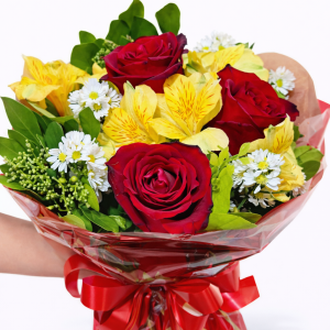 ChatGPT Image 9 de fev. de 2026, 13_27_31