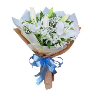 IMG-20241120-WA0071-Photoroom