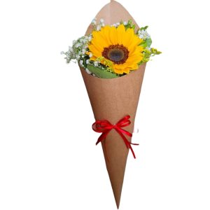 IMG-20250109-WA0046-Photoroom