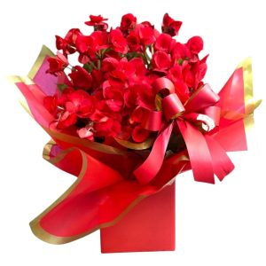 Imagem do WhatsApp de 2024-11-20 à(s) 19.25.03_57bcb184-Photoroom