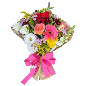 Imagem do WhatsApp de 2024-11-20 à(s) 19.25.14_b15d1663-Photoroom